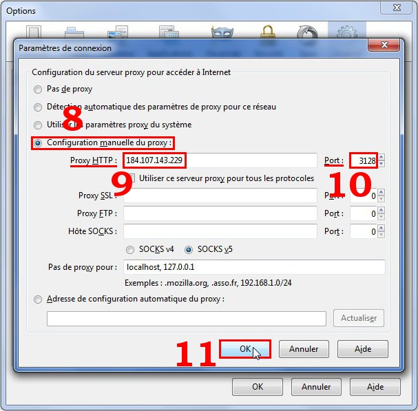 L'utilisateur passe en Configuration manuelle du proxy, saisit l'adresse IP et le Port du proxy, puis valide ses choix